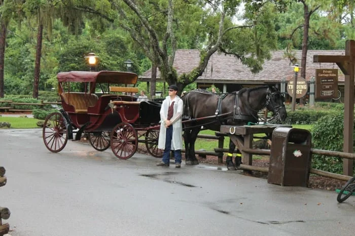 Fort Wilderness - Carriage Ride - DVC