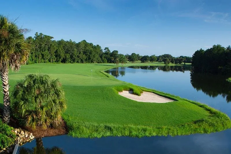 Disney's Palm Golf Course - DVC Resale